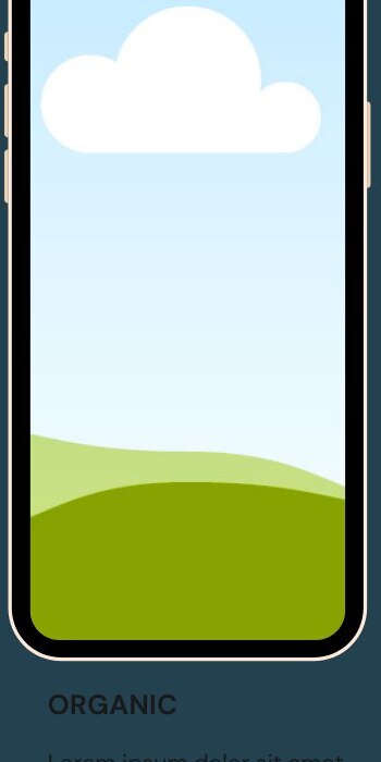 1 UGC Video Includes